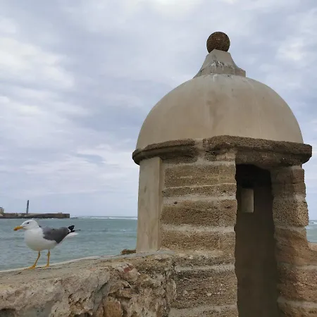 Caleta