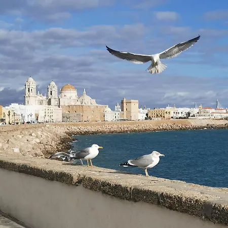 Apartment Caleta *